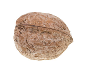 walnuts on a white background