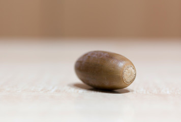 acorn on a wooden background
