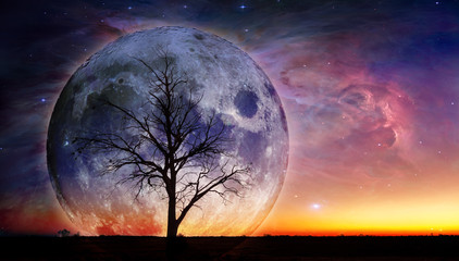 Fantasy landscape - Lonely bare tree silhouette with huge planet rising behind it and galaxy in the sky. Elements of this image are furnished by NASA - obrazy, fototapety, plakaty