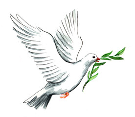 Dove of peace