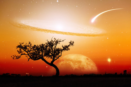 Unreal landscape of lone tree silhouette with planet and galaxy visible in vivid orange sky. Elements of this image are furnished by NASA