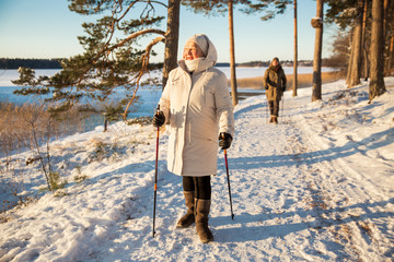 Winter sport in Finland - nordic walking. Senior woman and man hiking in cold forest. Active people outdoors. Scenic peaceful Finnish landscape.