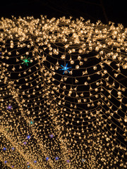 Nabana no Sato garden at night in winter,Mie,Japan