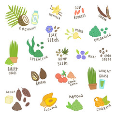 Set of different superfoods. Object isolated on white. 