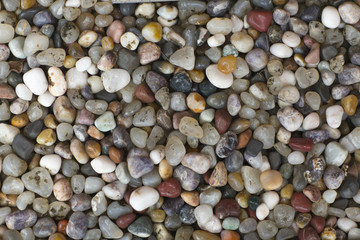 Texture. Marine multi-colored stones.