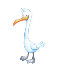Fototapeta premium Seagull cartoon character hand drawn pencil sketch on paper