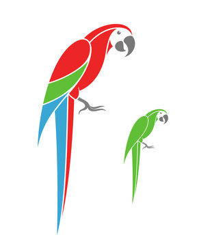 Macaw parrot and green parrot