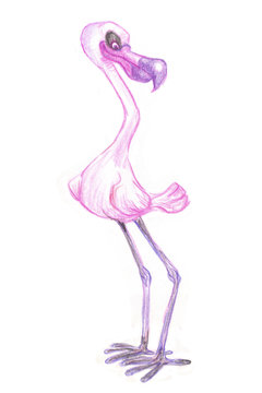 Flamingo cartoon character hand drawn pencil sketch on paper