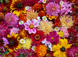 Background of garden flowers, top view.