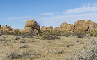  Joshua Tree National Park - Hot Sunny Dry Desert Scene