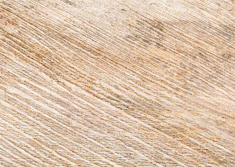 fiber coconut