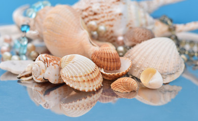Obraz na płótnie Canvas Assortment of seashells on blue