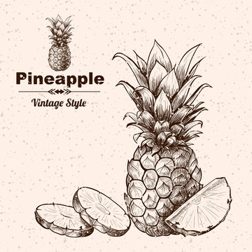 Vector background with  pineapple . Hand drawn. Vintage style