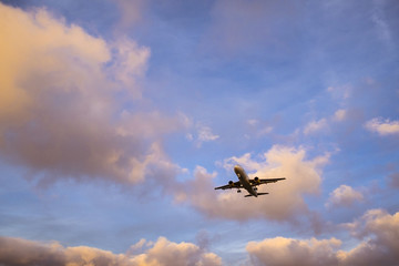 Fototapeta na wymiar Plane is landing during a nice sunset