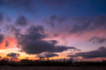Sunset in Llobregat delta in Barcelona