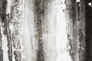 Fototapeta premium old wall cement background