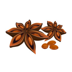 Anise star isolated on white. Stars shaped fruit of Illicium verum
