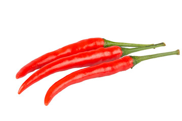 fresh rad chilli on white