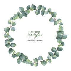 Watercolor vector round wreath with silver dollar eucalyptus.