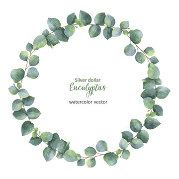 Watercolor Vector Round Wreath With Silver Dollar Eucalyptus.