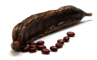 イナゴマメ Ceratonia siliqua Ceratonia Carob Carruba Phân loại khoa học...