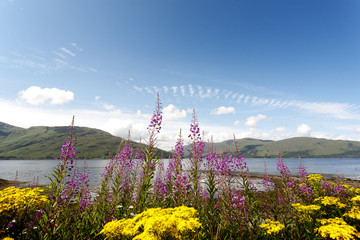 Loch Lomond, Scotland