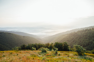 ukrainian carpathian mountains. Beautiful mountain landscape.