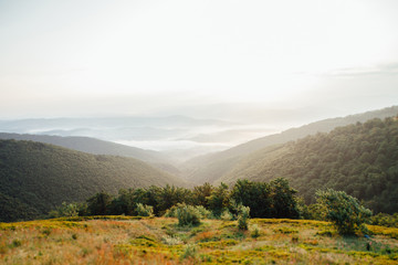 ukrainian carpathian mountains. Beautiful mountain landscape.