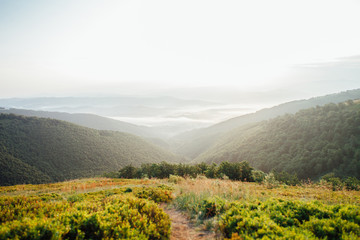 Obraz premium ukrainian carpathian mountains. Beautiful mountain landscape.