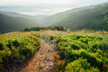 ukrainian carpathian mountains. Beautiful mountain landscape.