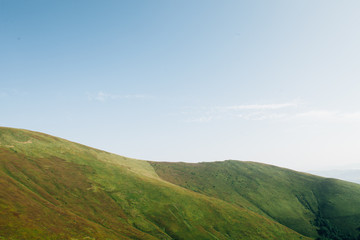 Fototapeta premium ukrainian carpathian mountains. Beautiful mountain landscape.