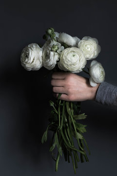 Hand holding bouquet of peonies against gray background