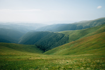 Obraz premium ukrainian carpathian mountains. Beautiful mountain landscape.