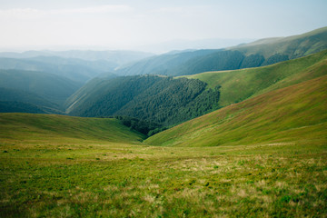 Fototapeta premium ukrainian carpathian mountains. Beautiful mountain landscape.