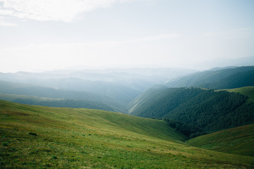 Fototapeta na wymiar ukrainian carpathian mountains. Beautiful mountain landscape.
