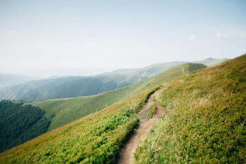 ukrainian carpathian mountains. Beautiful mountain landscape.