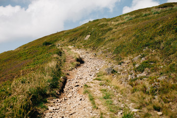 ukrainian carpathian mountains. Beautiful mountain landscape.