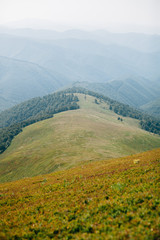 Fototapeta premium ukrainian carpathian mountains. Beautiful mountain landscape.