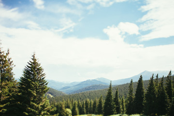 Fototapeta premium ukrainian carpathian mountains. Beautiful mountain landscape.