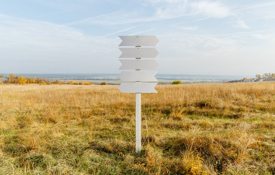 The pointer in the field