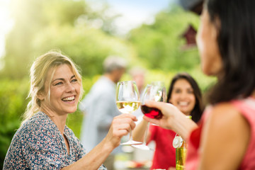 Group of friends having lunch, focus on a woman