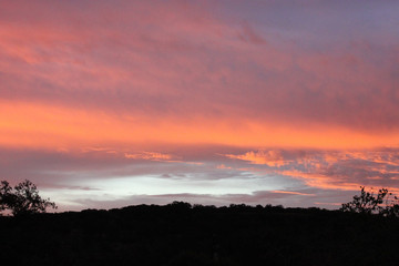 Sunrise IV