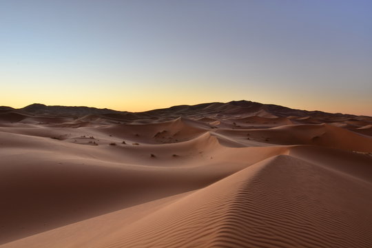 Sunrise in the Desert