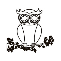 Owl cartoon icon. Bird animal and nature theme. Isolated design. Vector illustration