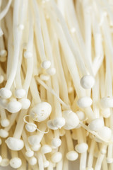 Fresh Enoki mushroom isolate on white background in Close-up shot