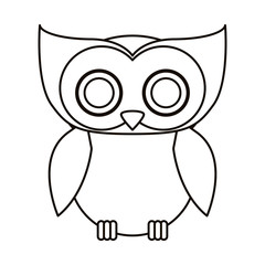 Owl cartoon icon. Bird animal and nature theme. Isolated design. Vector illustration