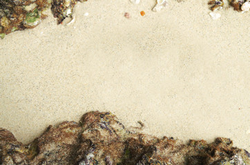 sand beach with rock frame with copyspace for text