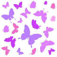 Naklejka na ściany i meble colorful butterfly, on a white