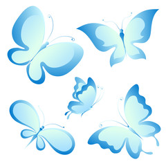 colorful butterfly, on a white