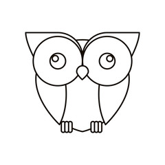 Owl cartoon icon. Bird animal and nature theme. Isolated design. Vector illustration